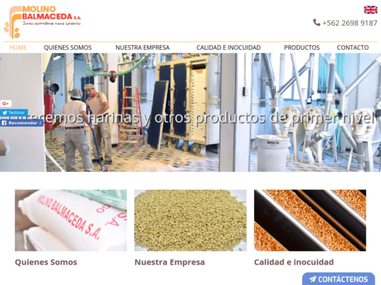 Fabricación de harinas integrales en Chile