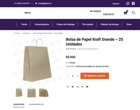 Bolsa de papel kraft en santiago