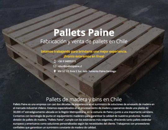 Venta de Pallets madera en Chile